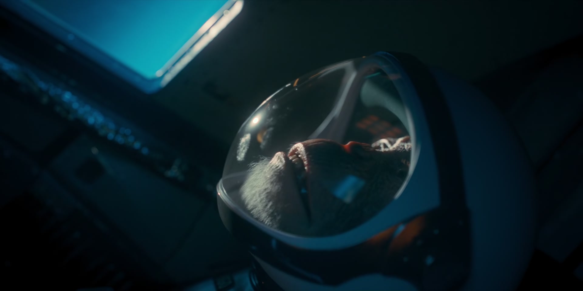 2x05_0063.jpg