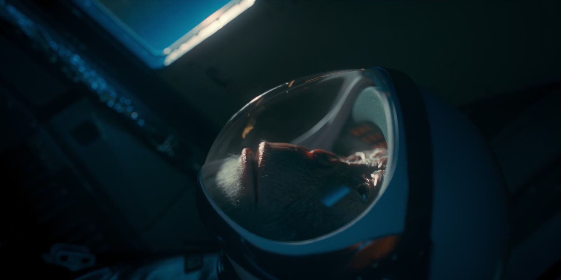 2x05_0064.jpg