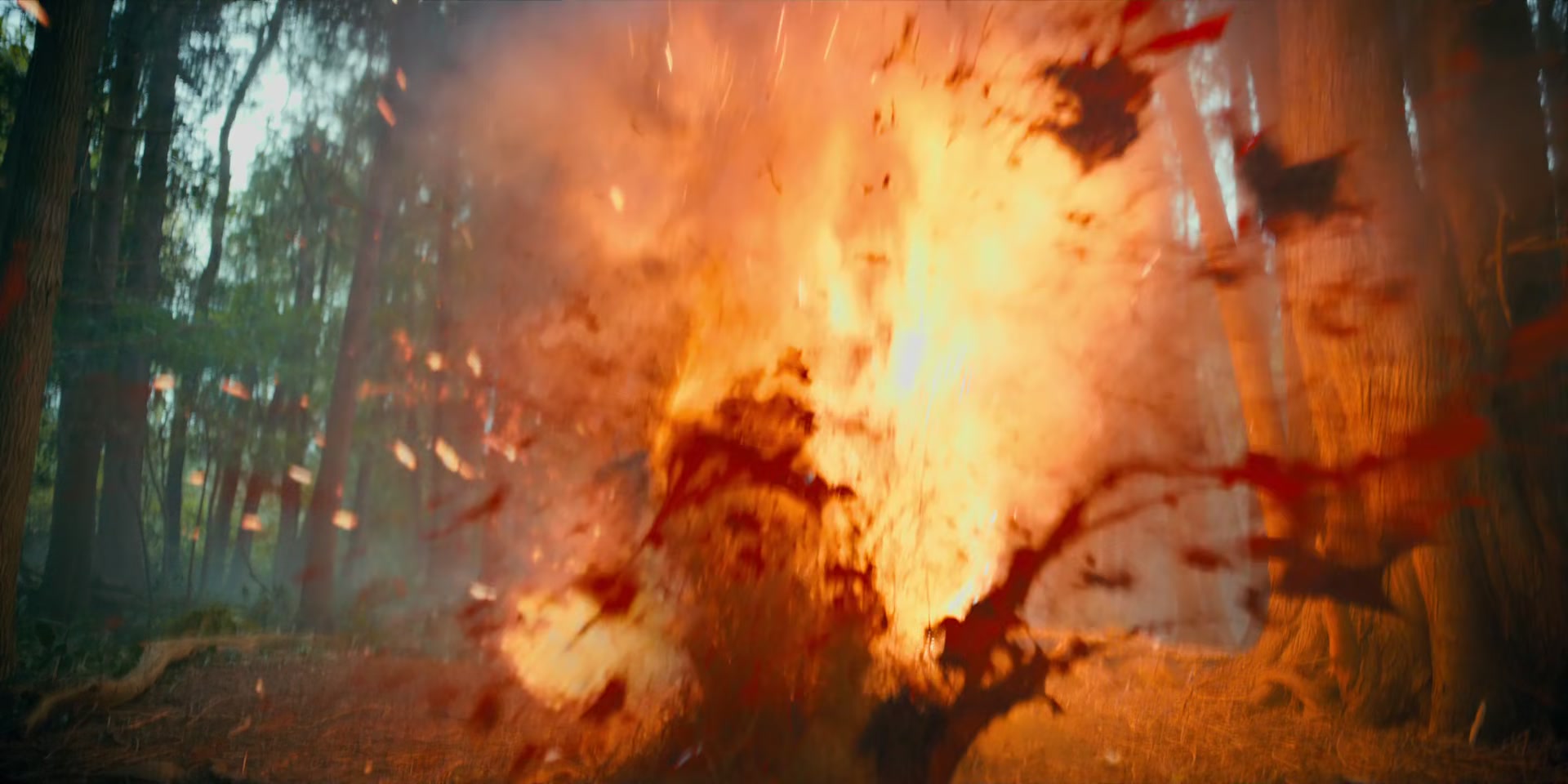 2x05_1086.jpg