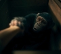 2x05_0028.jpg