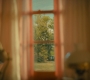 Filename=2x05_0294.jpg
Filesize=119KiB
Dimensions=1920x960
Date added=Sep 28, 2021 2x05_0294.jpg
