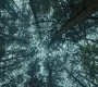 2x05_1068.jpg
