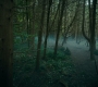 2x05_1069.jpg
