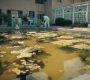 2x06_0652.jpg