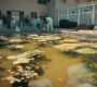 2x06_0653.jpg