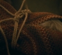 2x08_1157.jpg