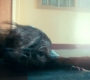 2x09_0042.jpg
