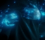 2x09_0611.jpg