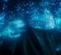 2x09_0612.jpg