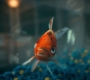 2x09_0707.jpg