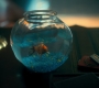 2x09_0788.jpg