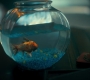 2x09_0789.jpg