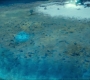 2x10_0541.jpg