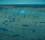 2x10_0566.jpg