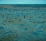2x10_0585.jpg