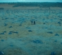 2x10_0586.jpg