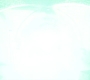 HOTN301_0169.jpg