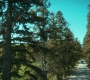 HOTN302_0863.jpg