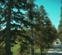 HOTN302_0864.jpg