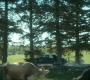 HOTN302_0866.jpg
