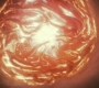 HOTN302_1047.jpg