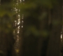 HOTN302_1057.jpg