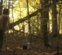 HOTN302_1067.jpg