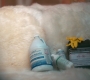 Filename=HOTN5_0379.jpg
Filesize=135KiB
Dimensions=1920x960
Date added=Mar 23, 2023 HOTN5_0379.jpg