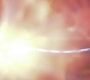 HOTN5_0600.jpg