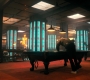 HOTN5_0968.jpg