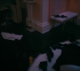 Filename=HOTN5_1113.jpg
Filesize=64KiB
Dimensions=1920x960
Date added=Mar 23, 2023 HOTN5_1113.jpg