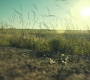 HOTN7_0613.jpg