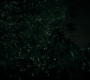 HOTN7_0729.jpg