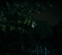 HOTN7_0730.jpg