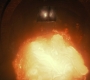 HOTN7_0857.jpg