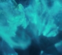 HOTN7_1008.jpg