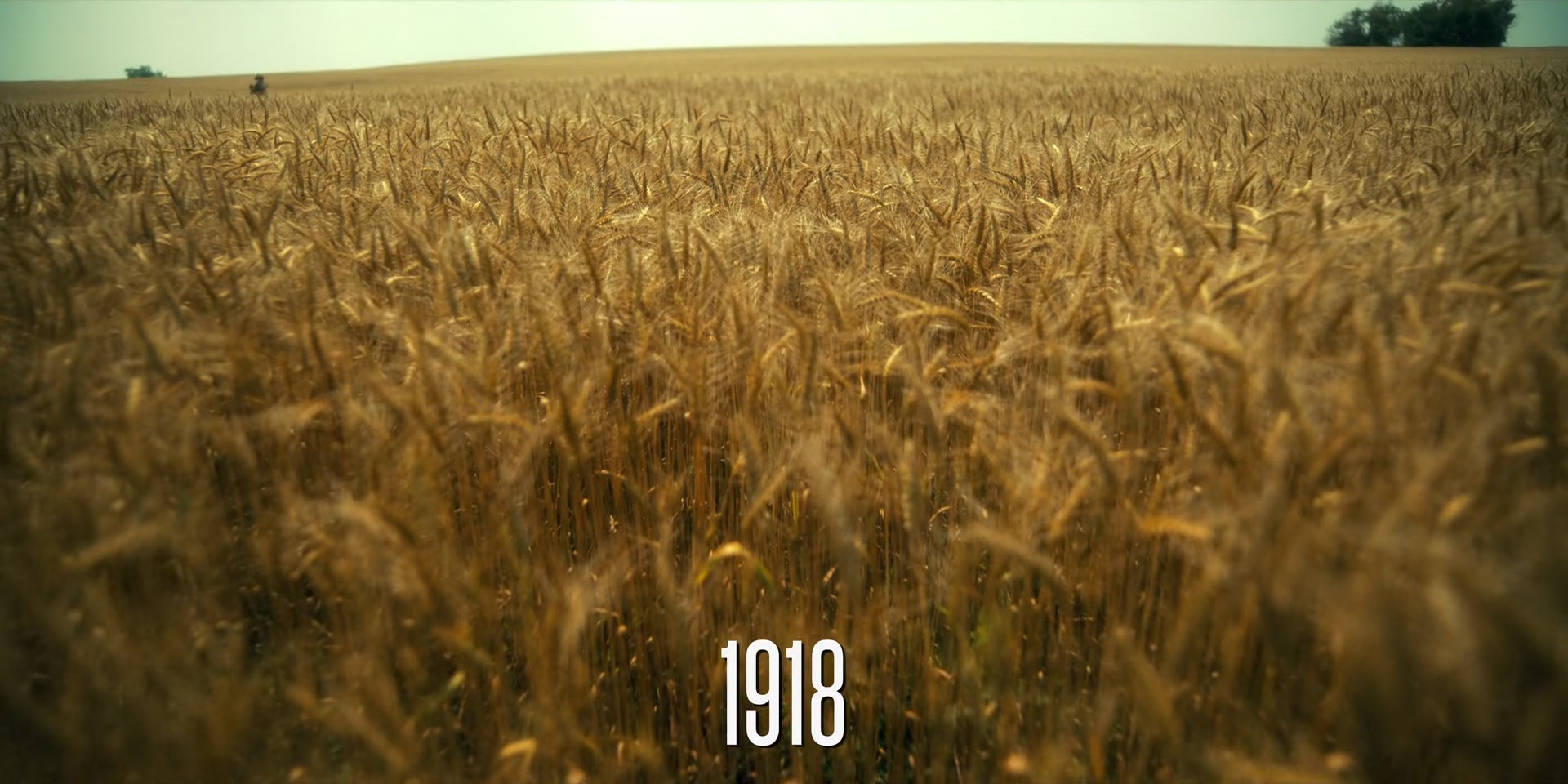 HOTN8_0011.jpg