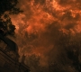 HOTN8_1233.jpg