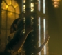 HOTN10_0973.jpg