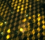 HOTN10_1007.jpg