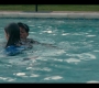 Filename=Warrior_Nun_S01E01_1505.jpg
Filesize=184KiB
Dimensions=1920x1080
Date added=Sep 28, 2021 Warrior_Nun_S01E01_1505.jpg
