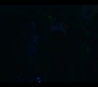 Warrior_Nun_S01E01_1957.jpg