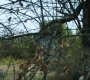 HOTN2_0360.jpg