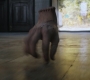 HOTN2_0422.jpg