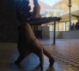 HOTN2_0448.jpg