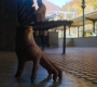 HOTN2_0450.jpg
