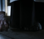 HOTN3_0953.jpg
