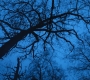 HOTN3_1334.jpg