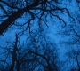 HOTN3_1335.jpg
