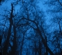 HOTN3_1336.jpg